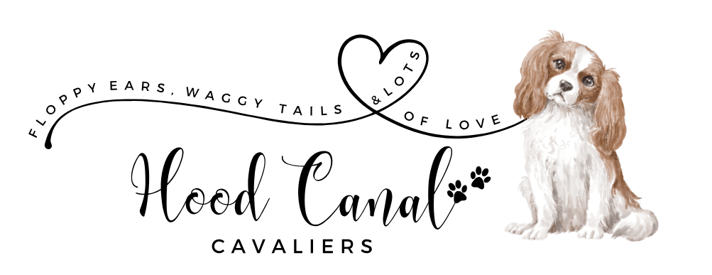 Hood Canal Cavaliers